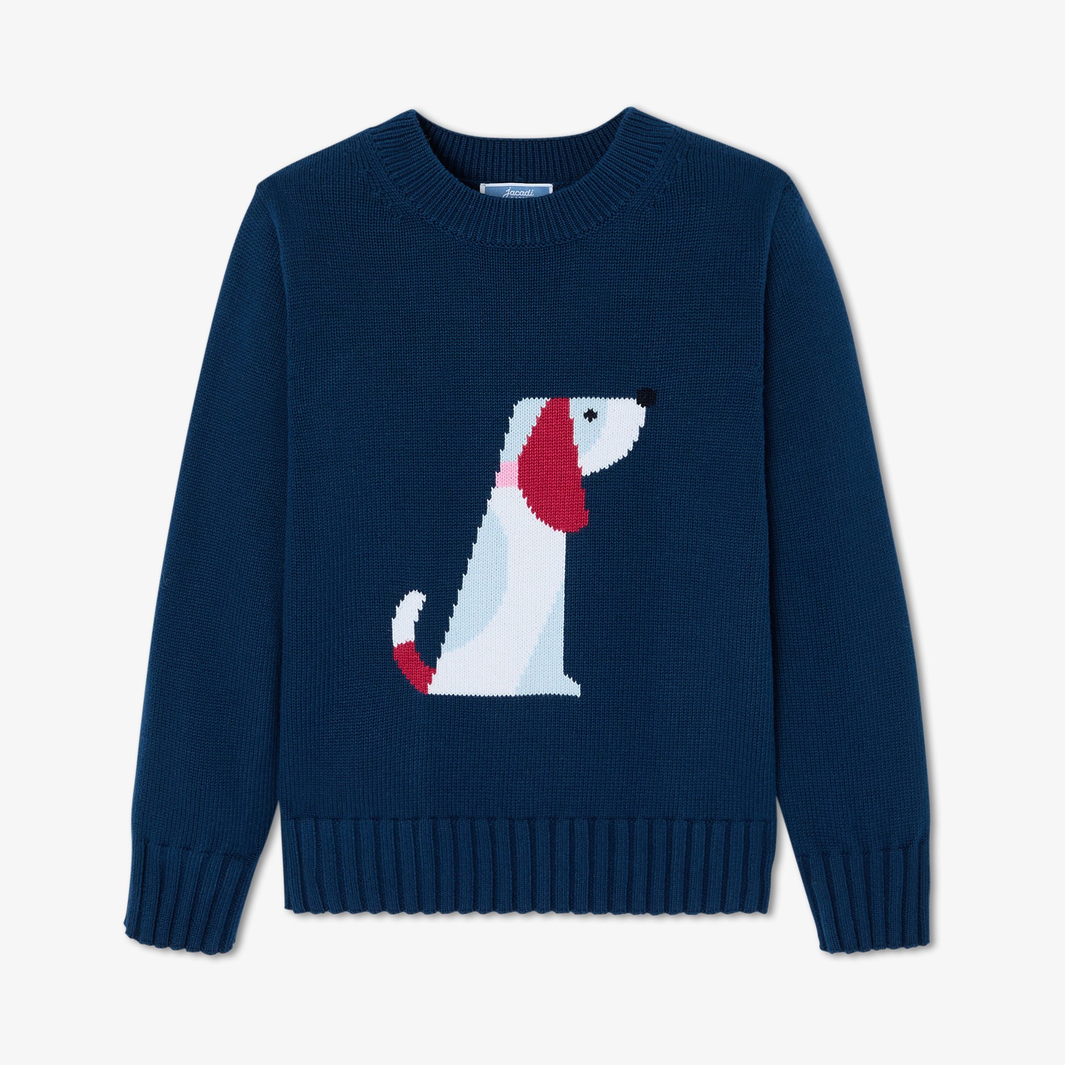 Boy cotton jersey sweater - Chardonnet - Image 3