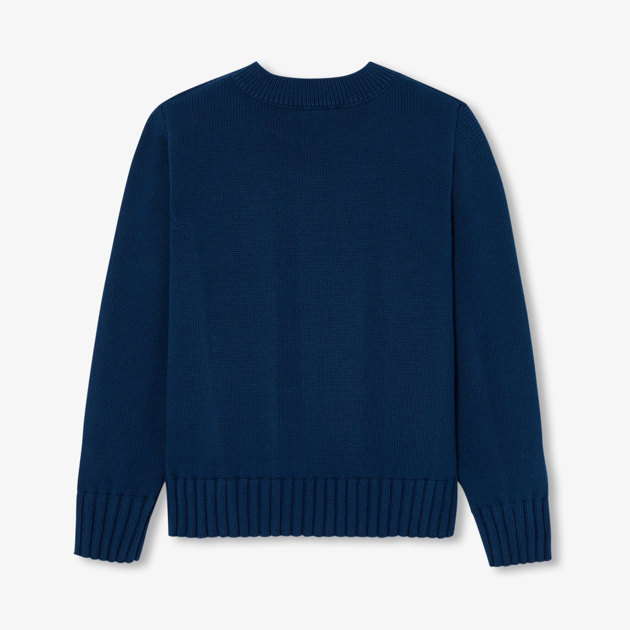 Boy cotton jersey sweater - Chardonnet - Image 4