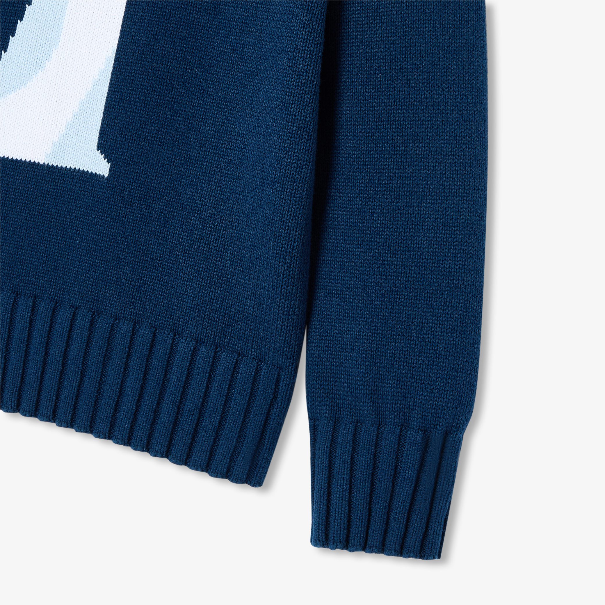 Boy cotton jersey sweater - Chardonnet - Image 6