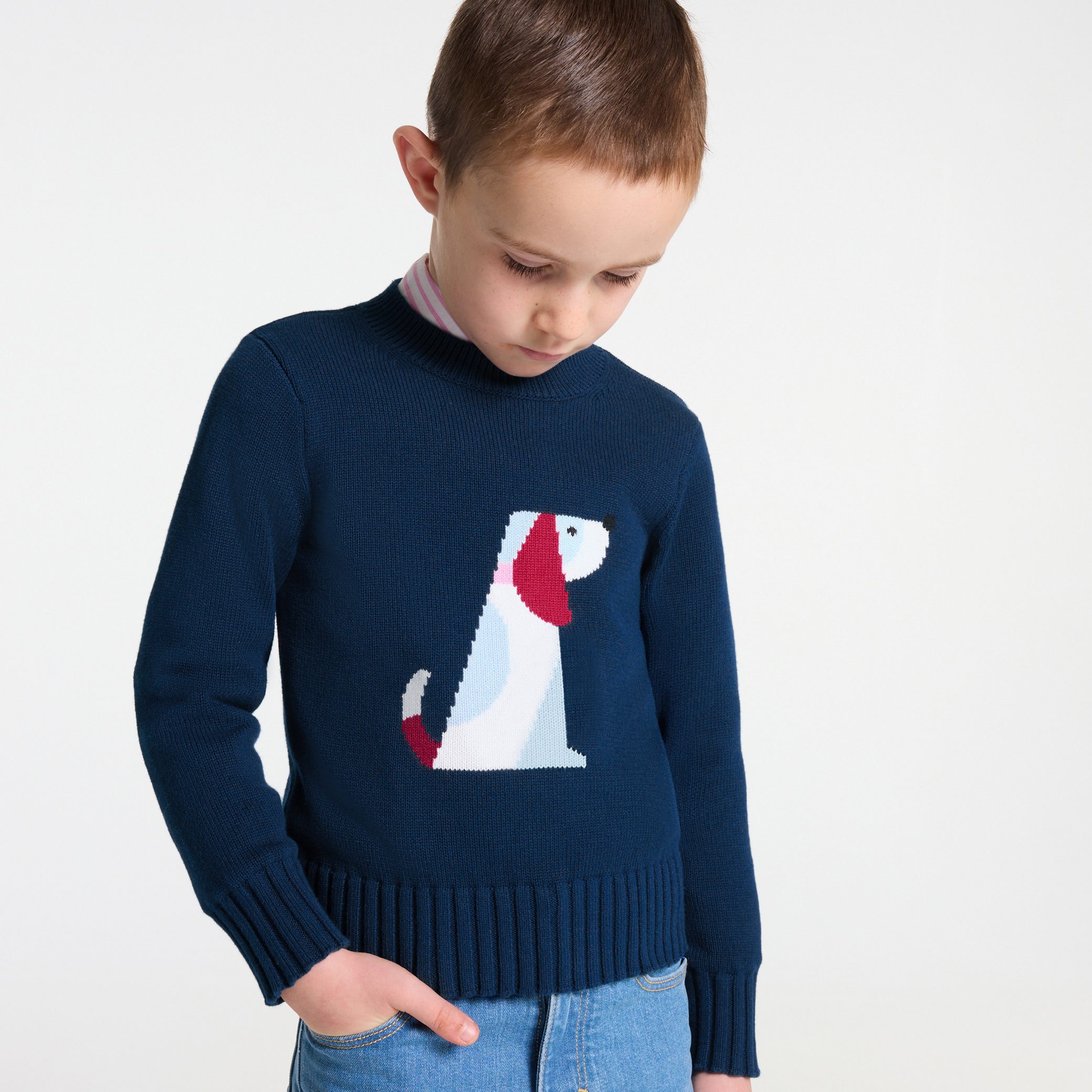 Boy cotton jersey sweater - Chardonnet