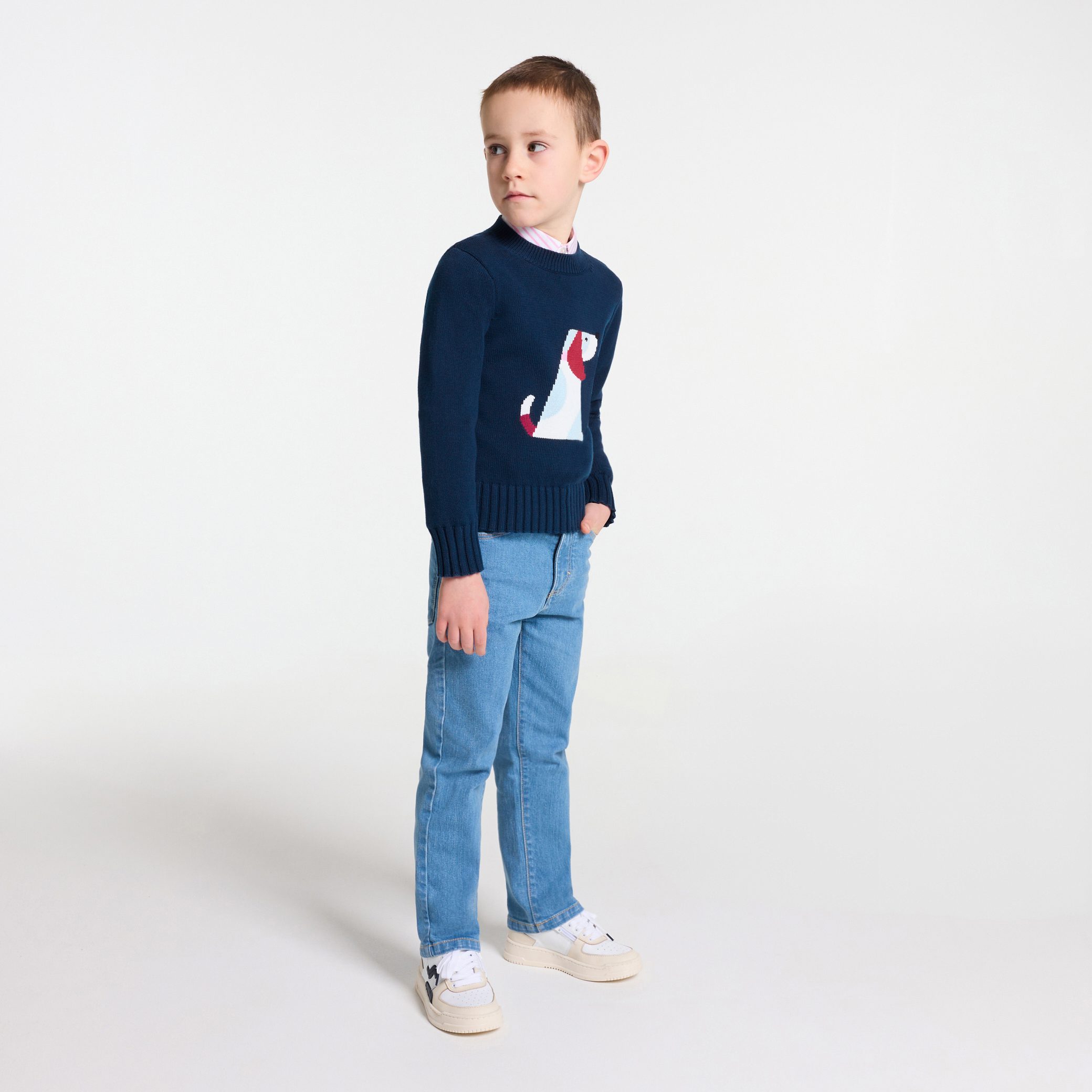 Boy cotton jersey sweater - Chardonnet - Image 2