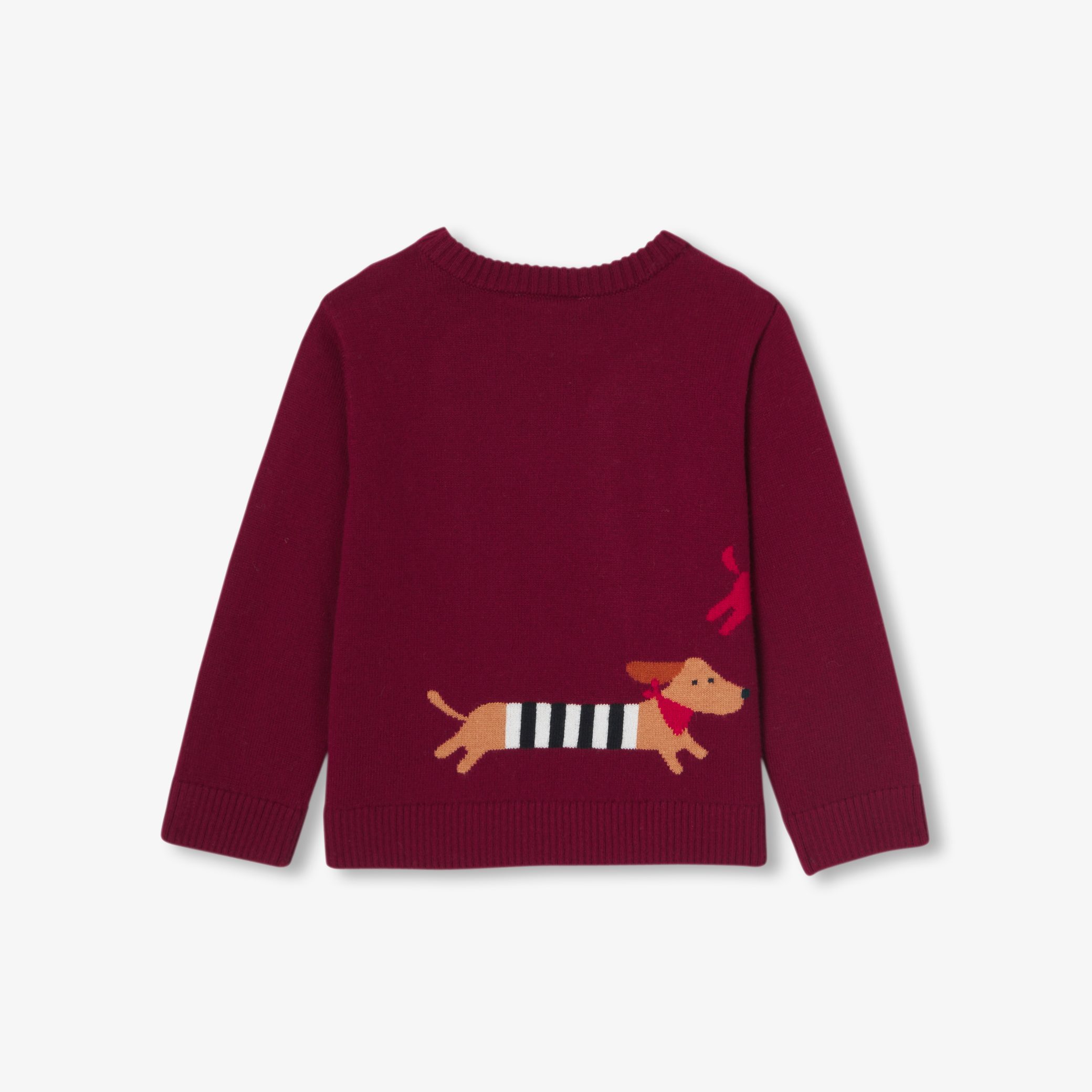 Baby boy cotton sweater- Recit - Image 5