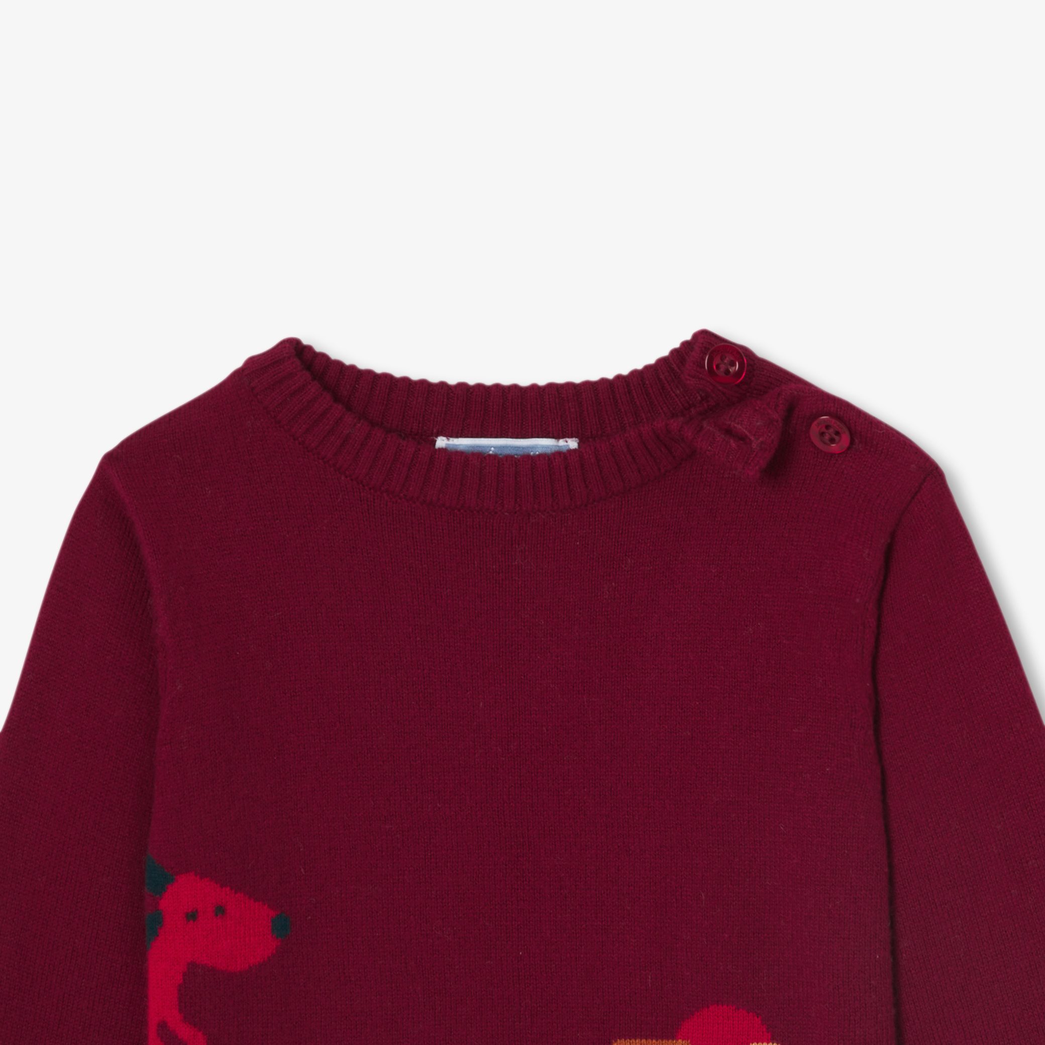 Baby boy cotton sweater- Recit - Image 6