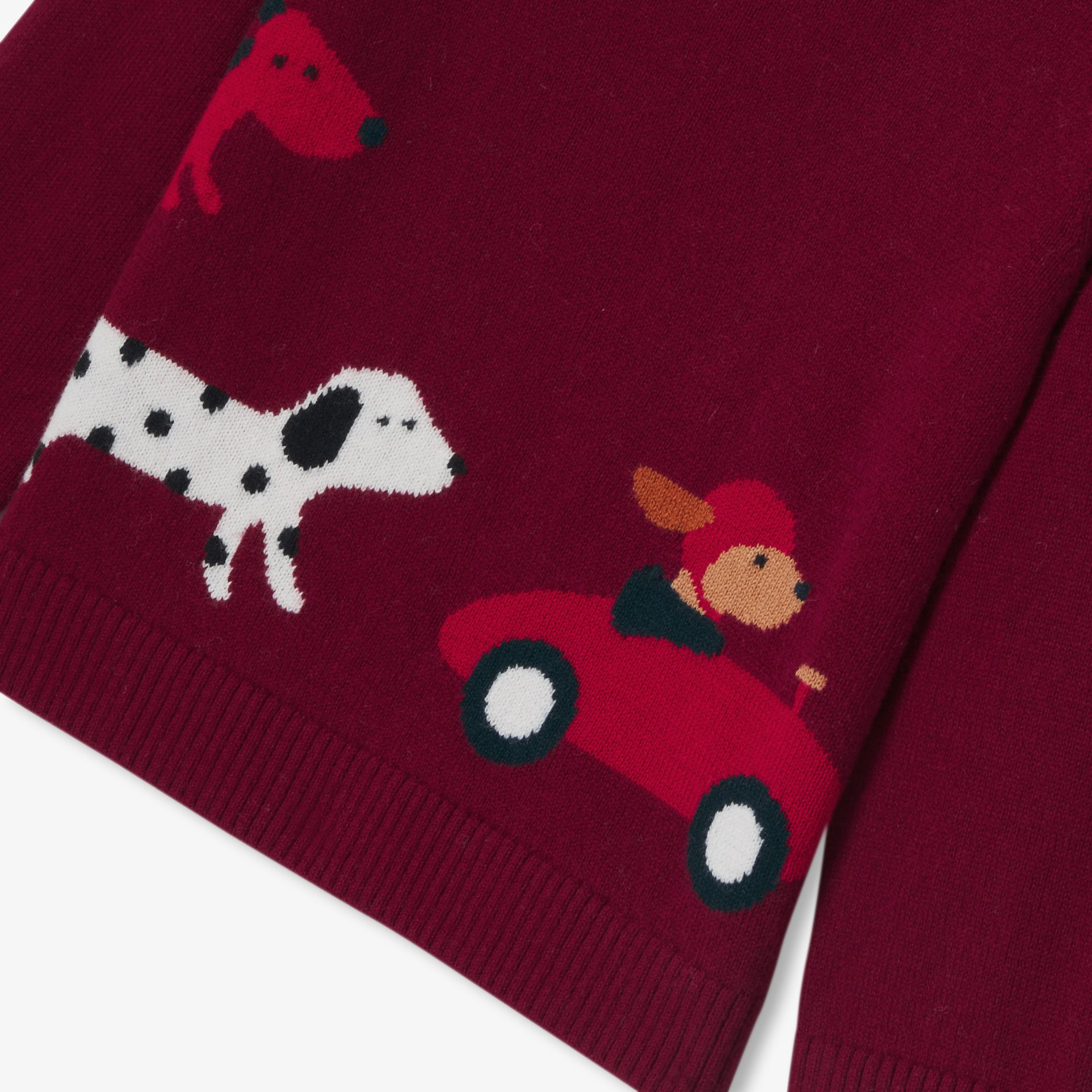 Baby boy cotton sweater- Recit - Image 7