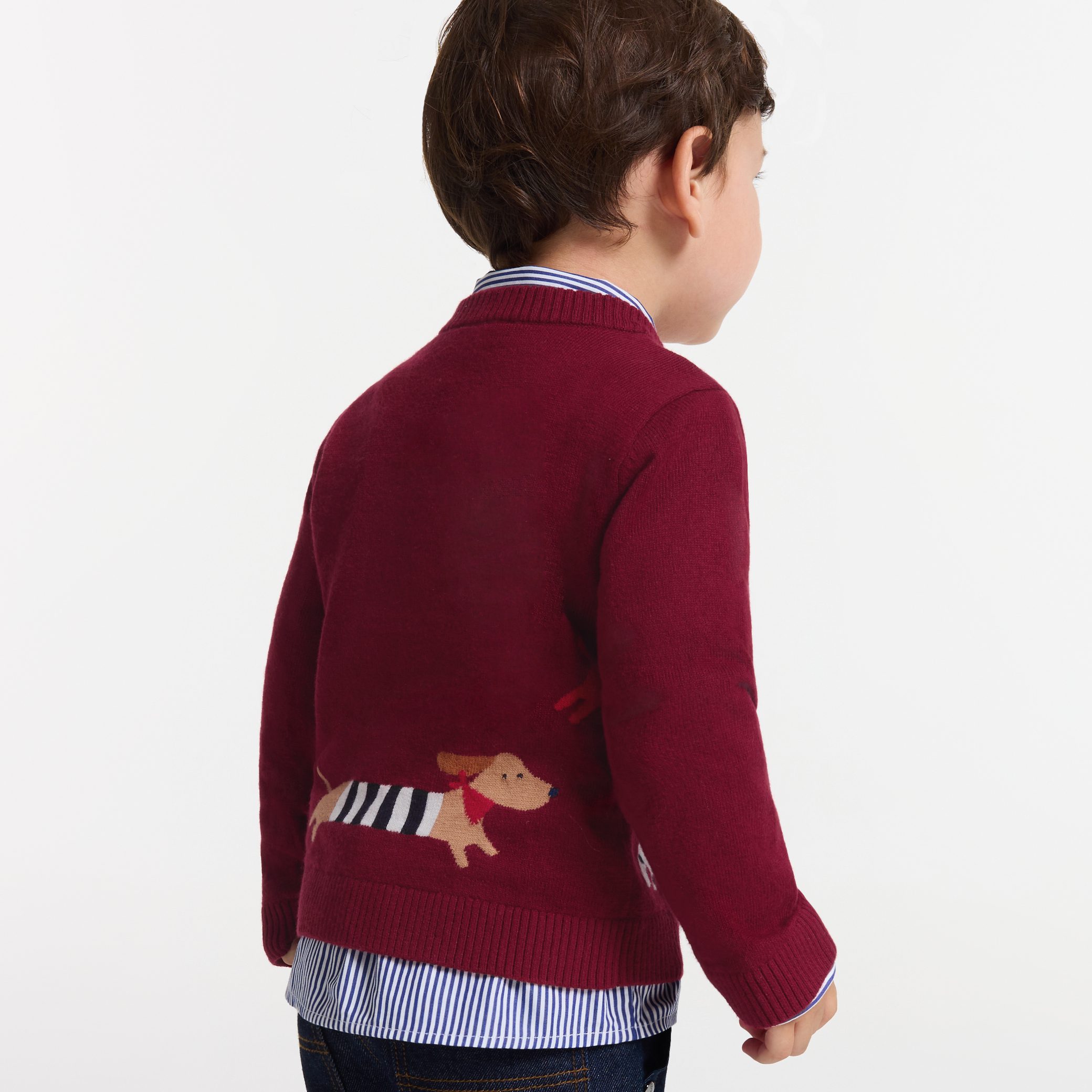 Baby boy cotton sweater- Recit - Image 2